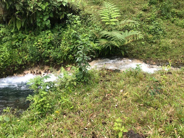Hot and Cold Thermal Springs for Sale – Beautiful Property in Dos Ríos, Alajuela with Excellent Commercial Potential - photo 13