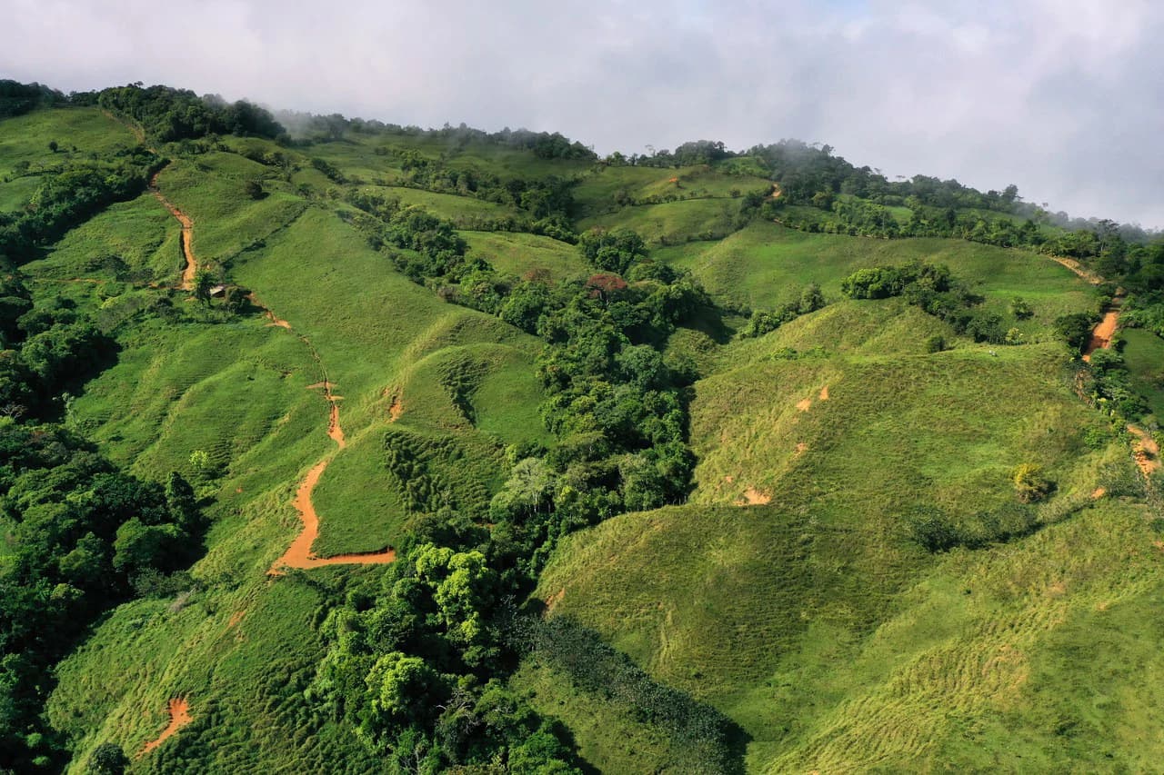 150 Acre Cattle Ranch with Panoramic Views Above the mountains of Uvita - photo 9
