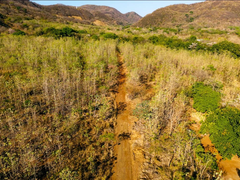 Discover Your Dream Farm on 4.2 Hectares in Costa Rica - photo 11