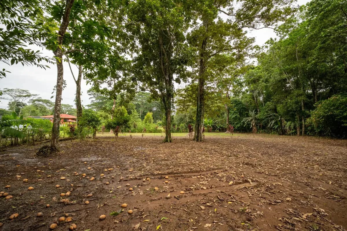 ID 1150: 3000 sqm Titled Land Near Cahuita National Park, Costa Rica - photo 11