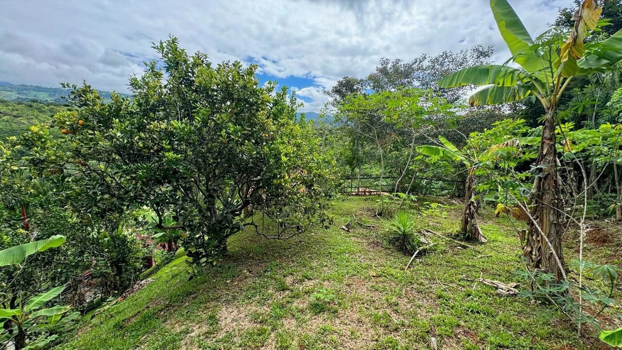Charming Hardwood Cabin with Fruit Garden Near San Isidro - photo 43