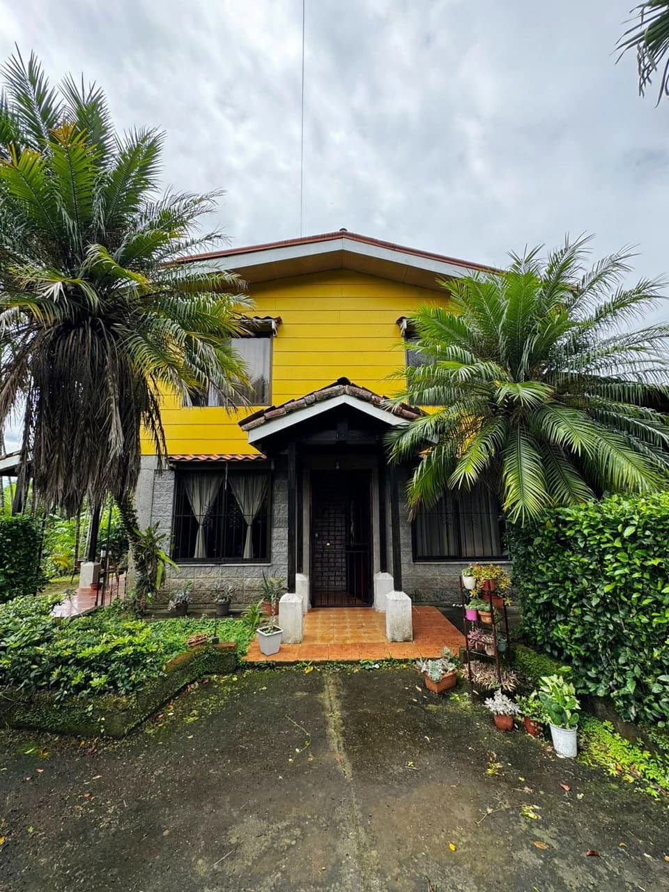 Casa Naranjo: Great Home on Large Quiet Lot - photo 5