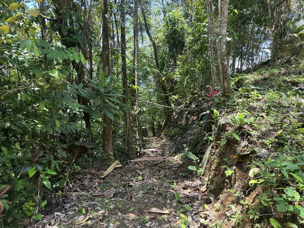 Ocean View Estate Lot with Private Waterfall – Uvita - photo 14