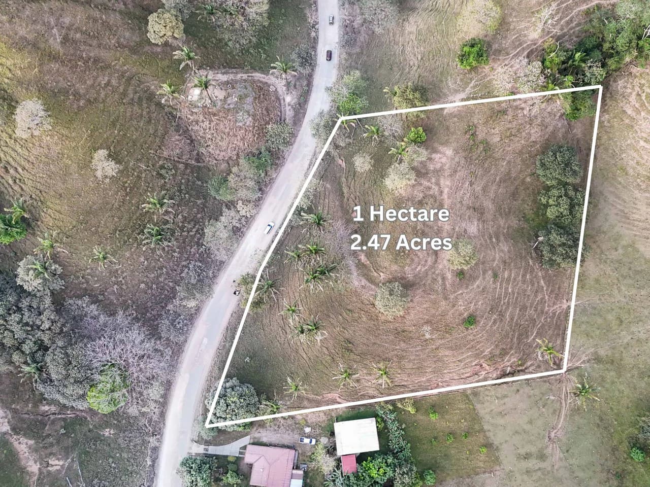 Lote Las Palmas - 1 Hectare lot a short distance to 3 beaches: Countryside Home Construction Site For Sale in Playa Samara - photo 5