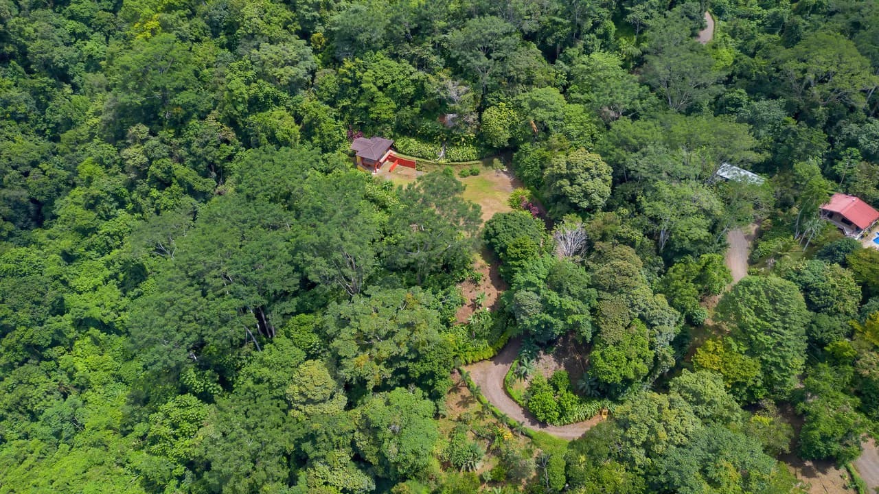 Build-Ready Ocean View Land with Guest House & Fruit Orchard | Tres Rios, Costa Rica - photo 21
