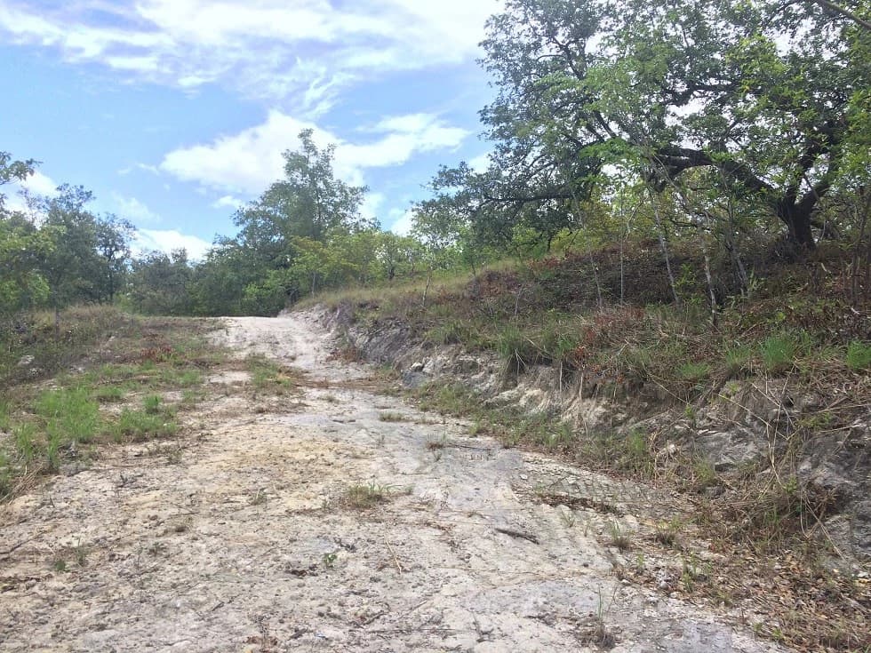 Finca grande: Economic Building property for sale in El Salto, with private access to the surrounding beautiful nature with own river - photo 8