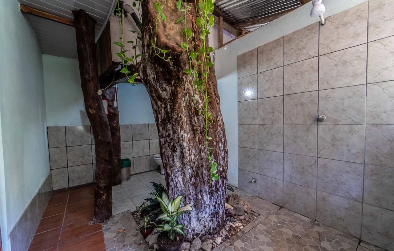 Casita San Fernando - 2BR Tico Home: Countryside House For Sale in Playa Samara - photo 17