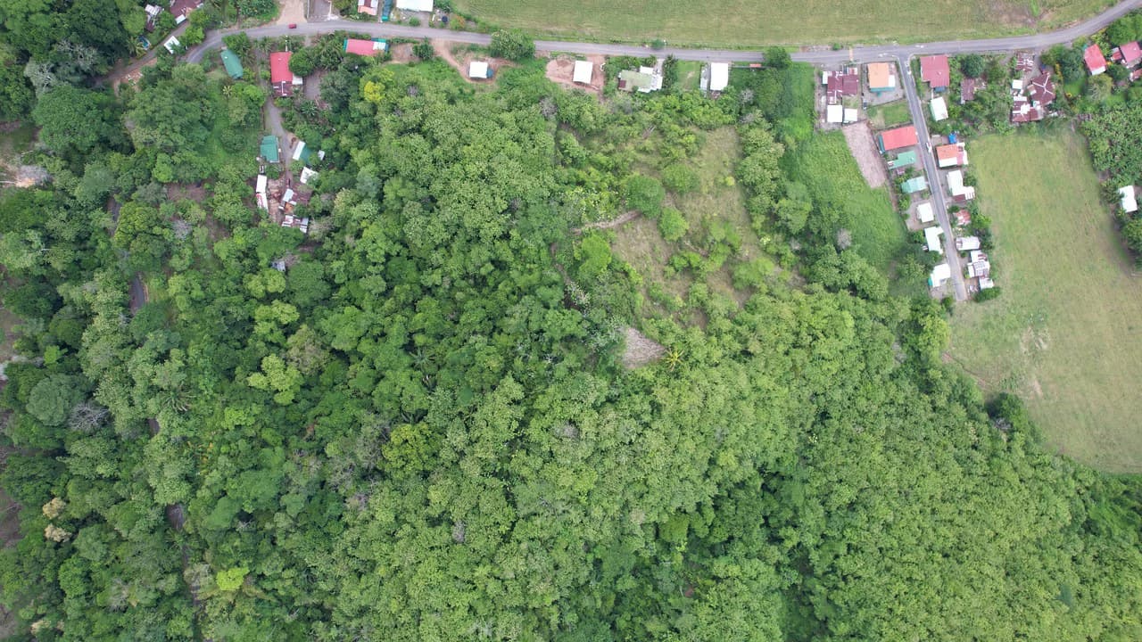 Finca Linda vista: Property for sale with flat land and small mountain with terrace to build and incredible views - photo 9