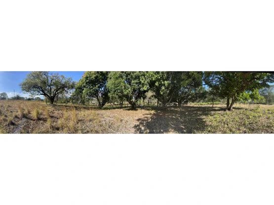 For Sale: This beautiful flat lot in La Ceiba of Orotina - photo 6