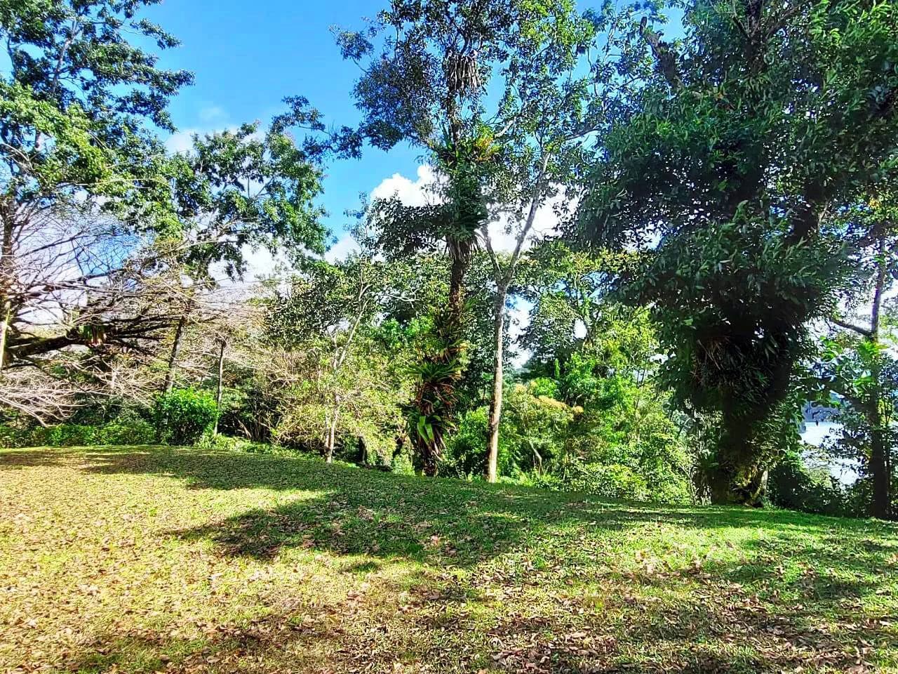 RAINBOW BAY - Beautiful 3.5 acre Lot in Gated Community - photo 11