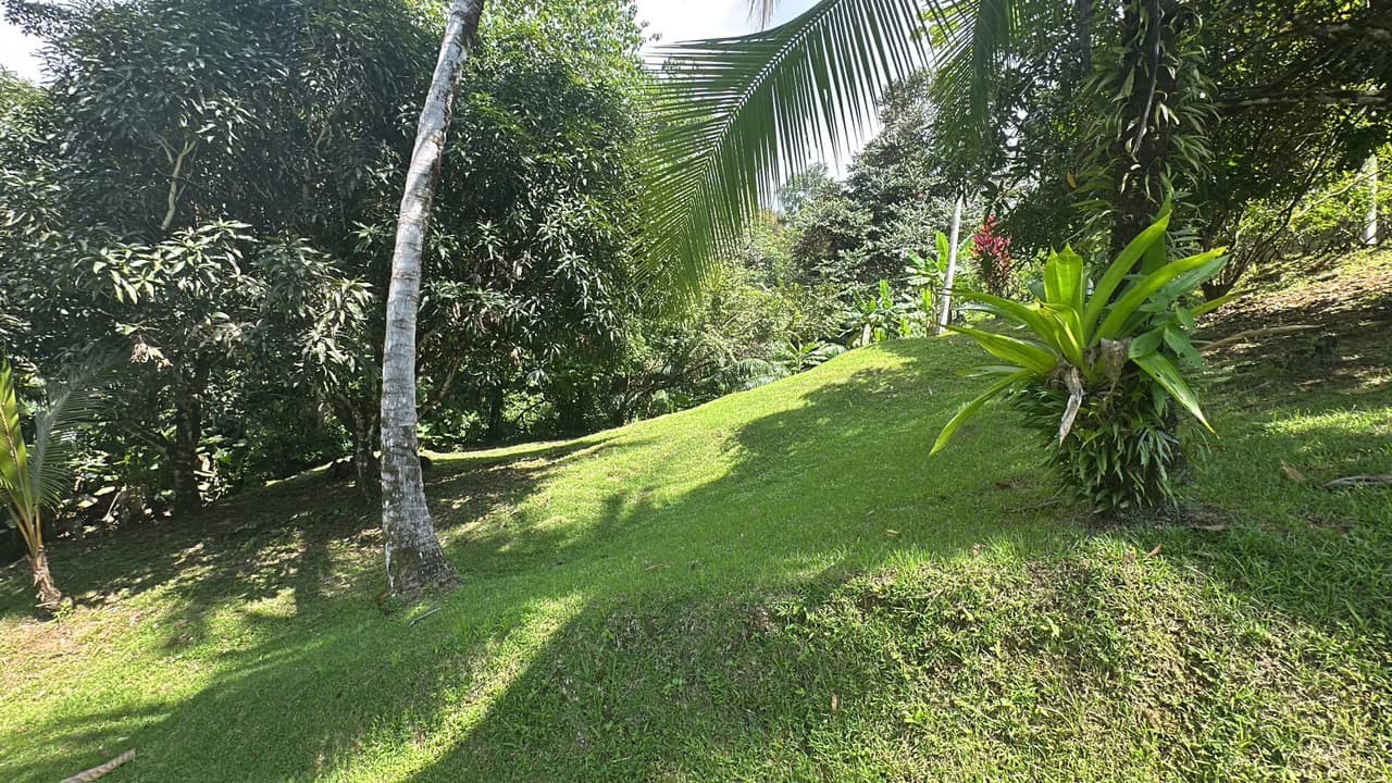 Development Parcel Central Uvita with River! - photo 5