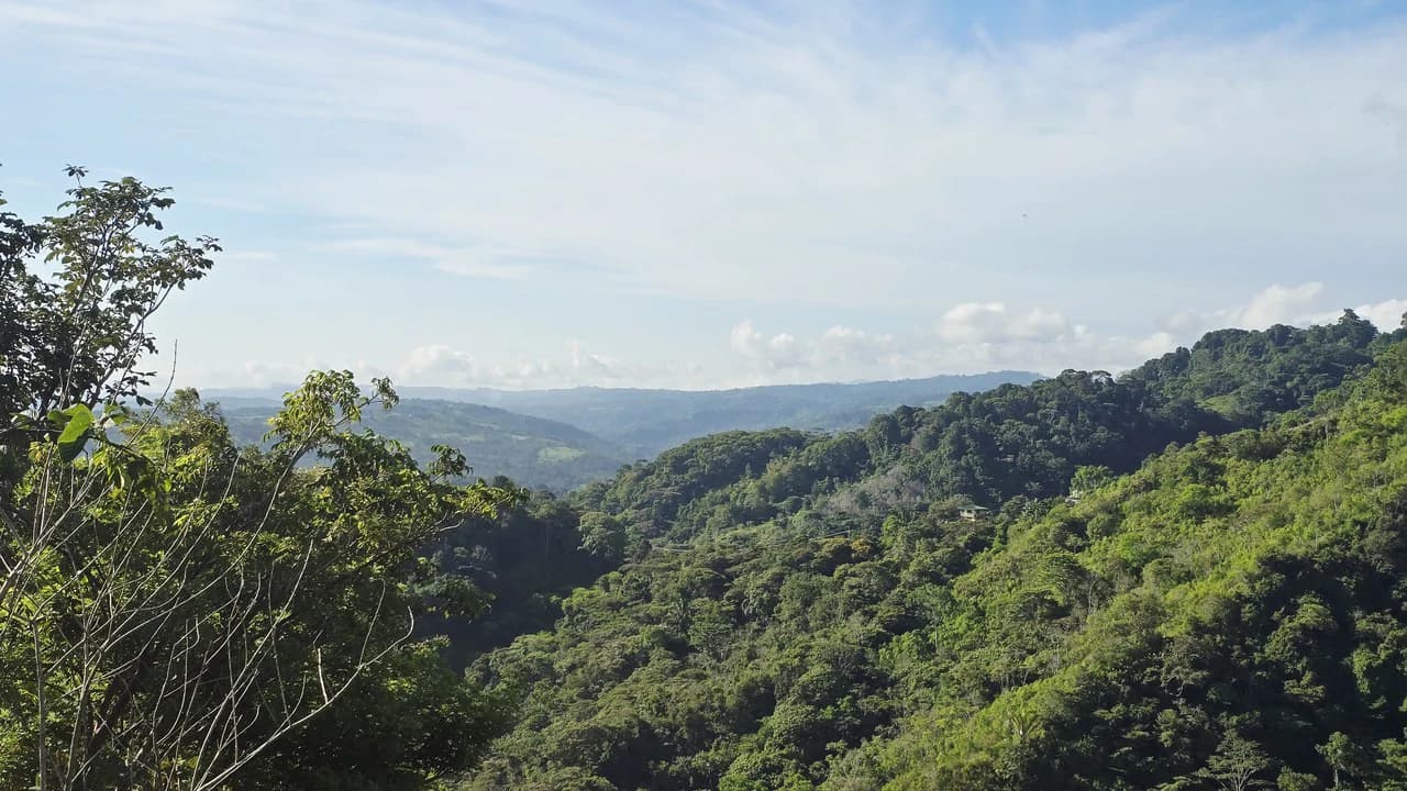 Mountain Agricultural Land For Sale in San Isidro del General - photo 15