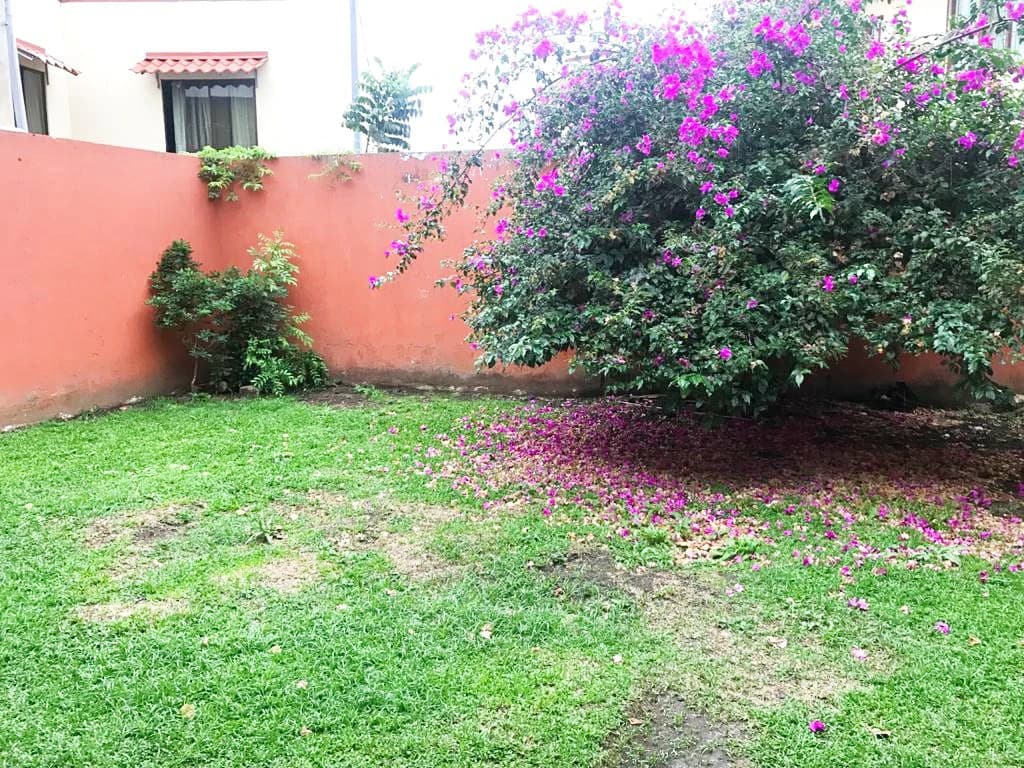 Independent 4 Bedroom House for Sale on Calle Ancha de Pavas San José Costa Rica - photo 11