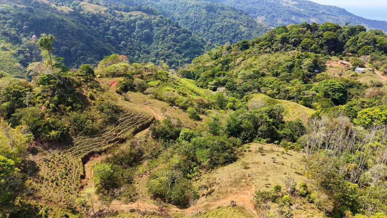 2.8 HA FARM FOR SALE IN SAN LUIS DE MORETE | MOUNTAIN VIEWS AND NEAR THE OCEAN - photo 20