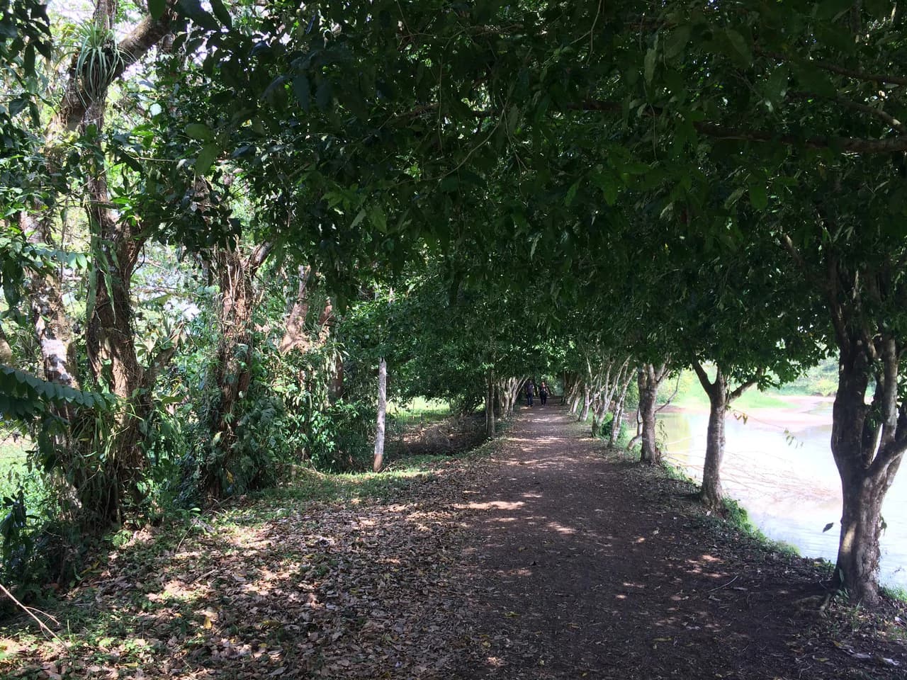 Propiedad grande: Countryside Home Construction Site For Sale in Caño Negro - photo 11