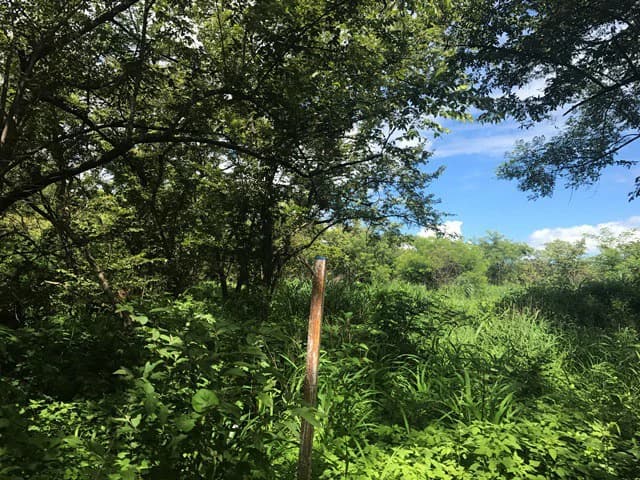 Large Development Land for Sale in Liberia, Guanacaste, Costa Rica - photo 14