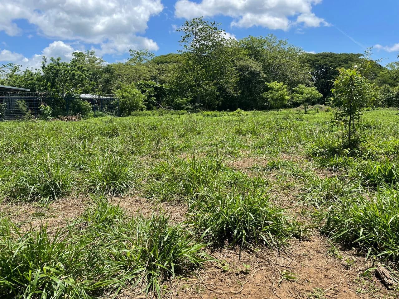 Building lots for sale, 6 available properties 10 minutes away from Liberia - photo 3