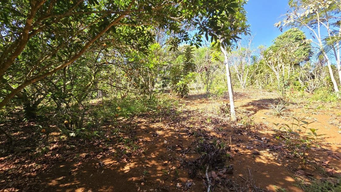 Home Construction Site For Sale in La Ceniza - photo 12