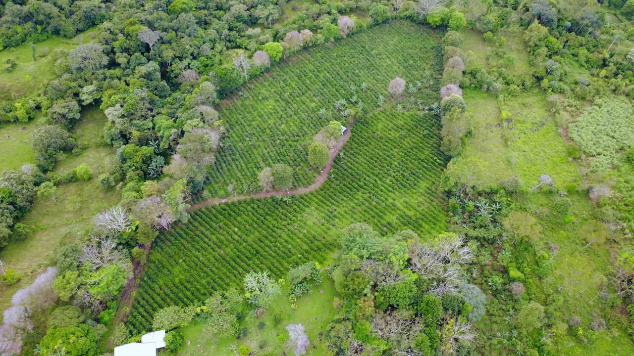 Countryside Home Construction Site For Sale in Santa Elena de San Isidro - photo 4