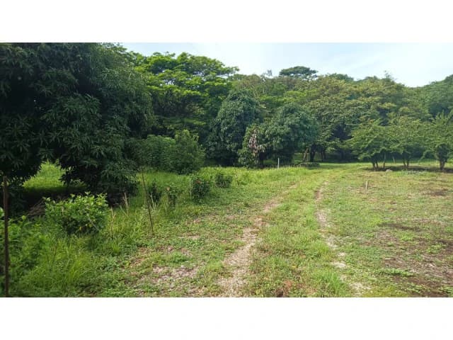 Dream Ranch for Sale with Houses and Horse Stable in Guanacaste – Great Investment Opportunity - photo 3