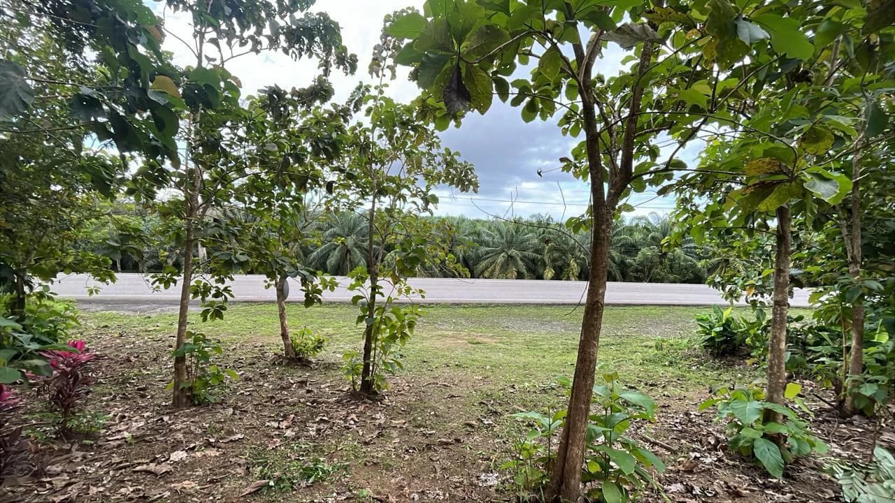 Near the Coast Home Construction Site For Sale in Ciudad Cortés - photo 5