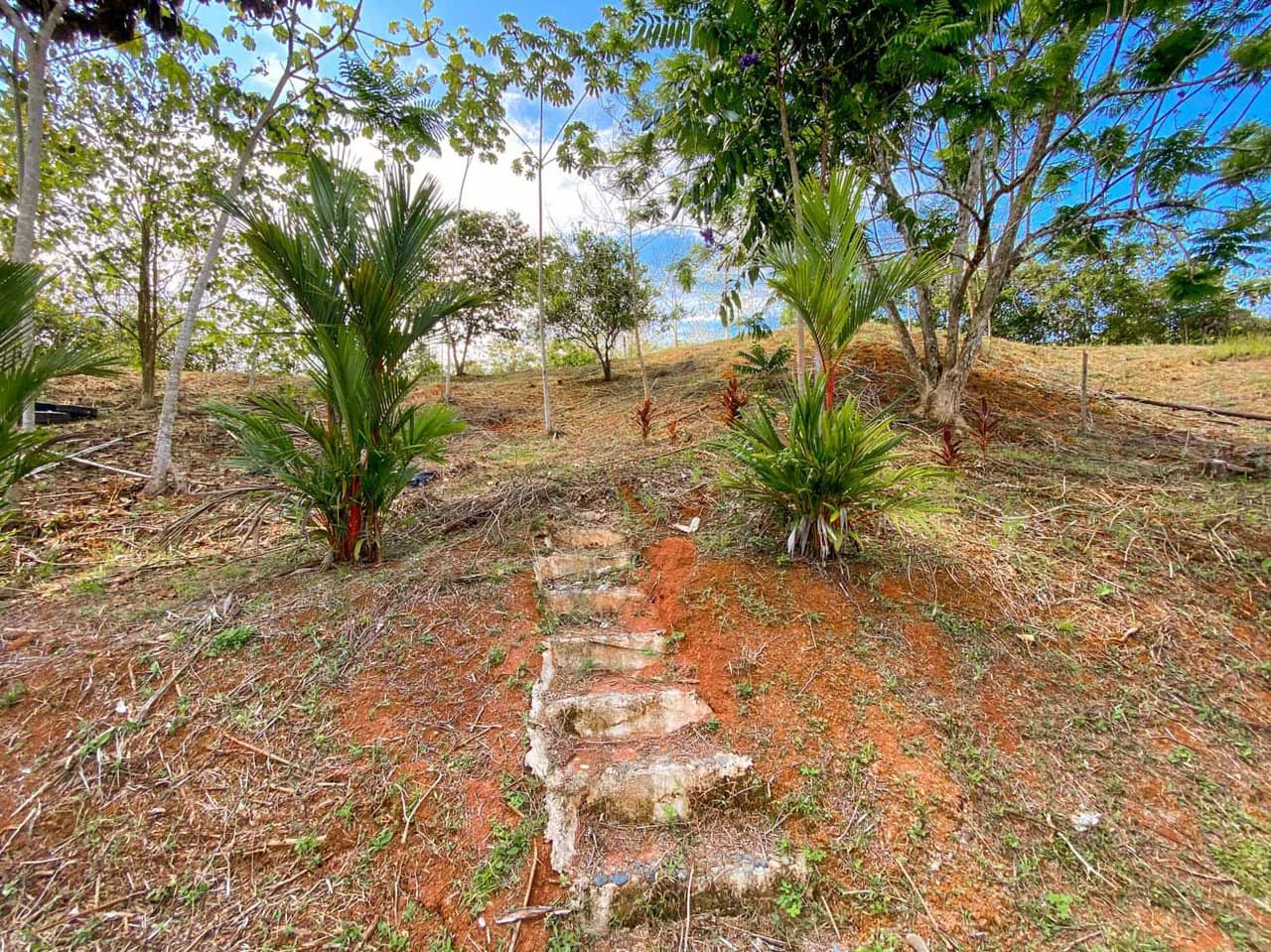 32 Acre Self Sustainable Farm with House Close Ojochal - photo 55