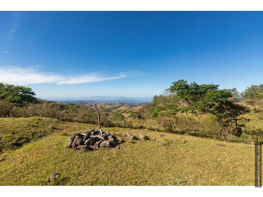 5-Acre Property with 2 Houses and Stunning Nicoya Gulf Views CE0324: 5-Acre Monteverde Retreat with Two Homes and Stunning Gulf of Nicoya Views – Ideal for Eco-Projects or Private Living - photo 19