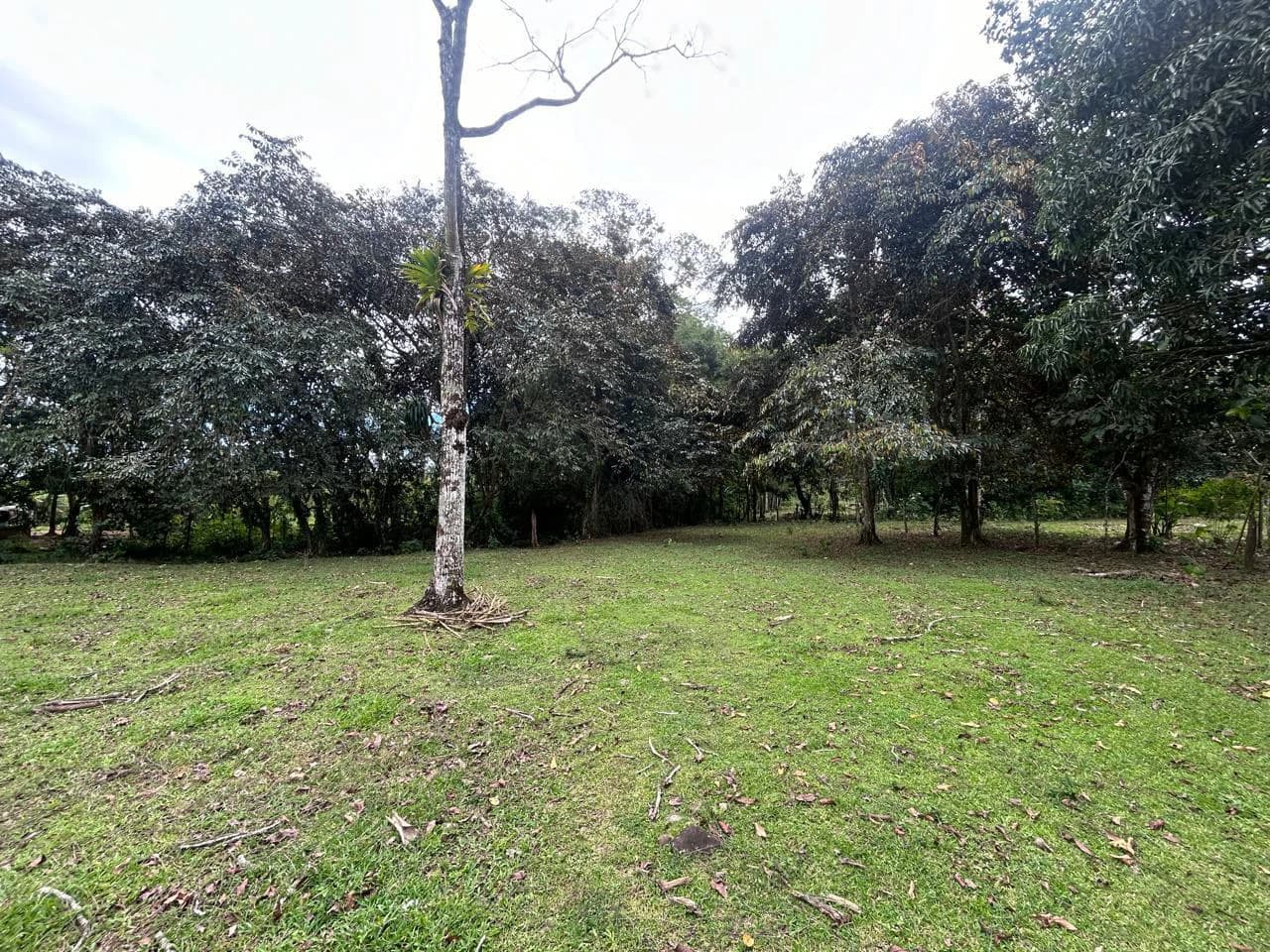 Land for Sale 4803 m2: Over 1 acre - photo 7