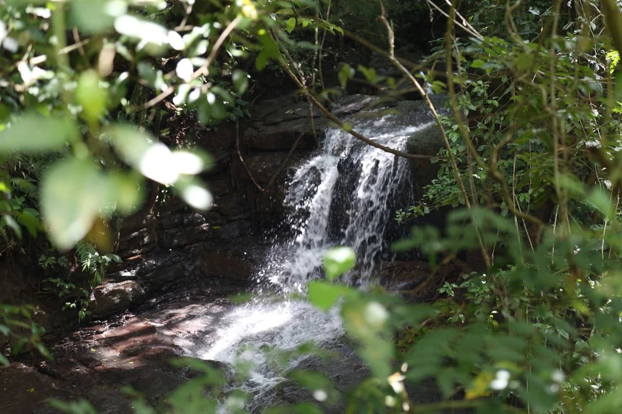 Lot for Sale in Gated Community Cerro Colon Ciudad Colon Costa Rica - photo 9