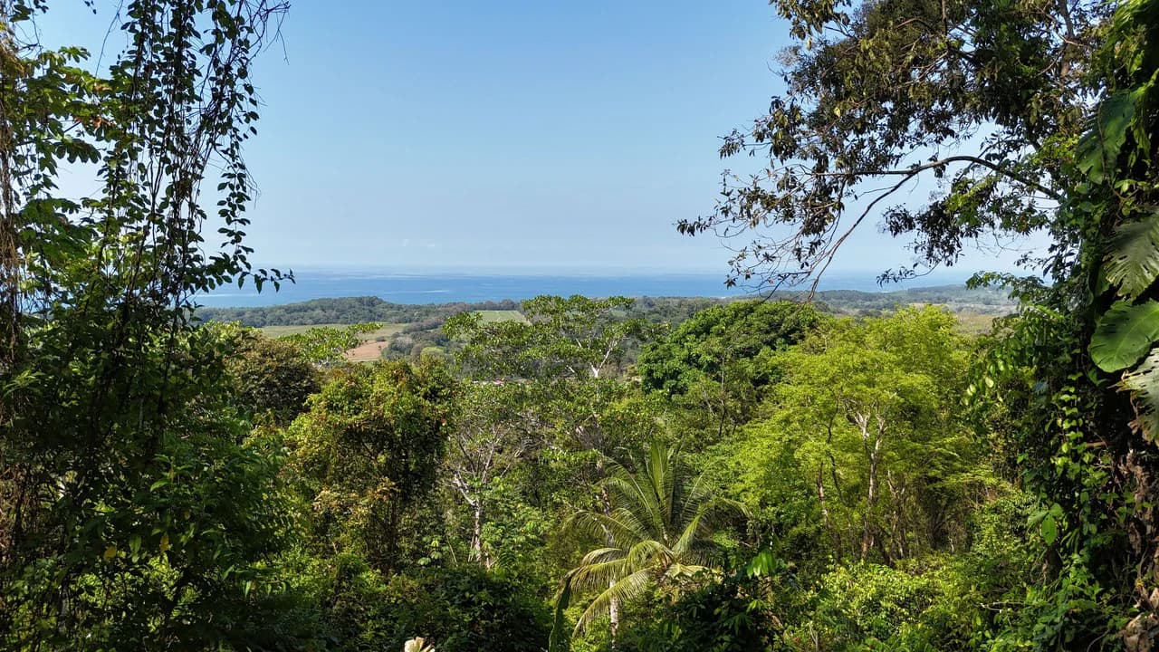 Exceptional Development Opportunity 71 acre Riverfront & Ocean View in Hatillo - photo 6
