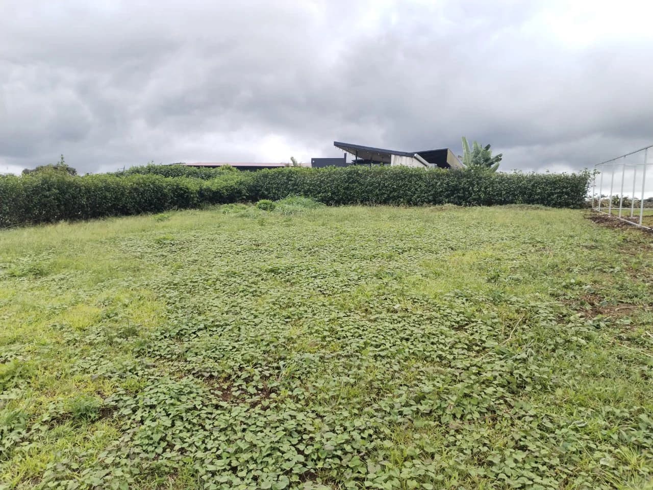 Lot for Sale in San Antonio de la Cueva, Naranjo: Perfect for Building in a Natural and Secure Setting - photo 7