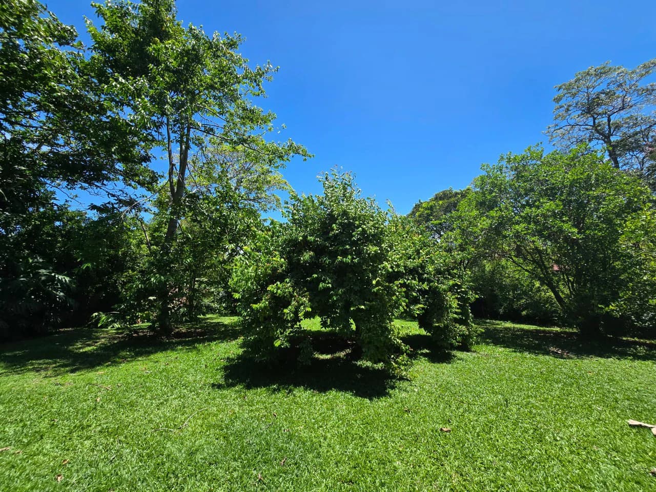 Land for Sale in Condominium in Ciudad Colón Costa Rica - photo 6