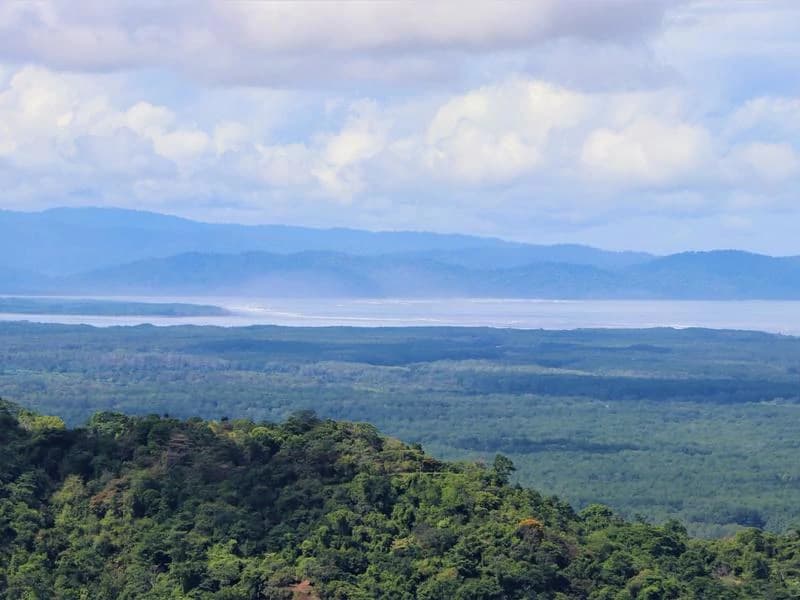 Captivating 3.15-Acre Property: Huge Pricedrop! Firesale Oceanview Lot in Tres Rios - photo 6