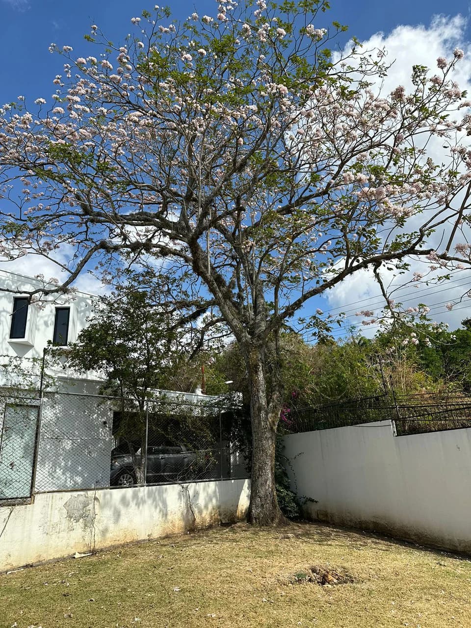 For sale house in Alto de las Palomas, Santa Ana - photo 6
