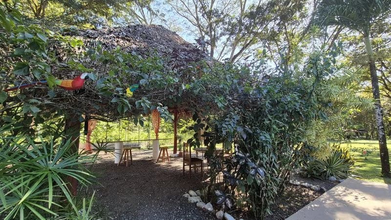 Casas Jungle: Charming Rental Compound with 5 units & pool in the heart of nature, minutes from Samara’s beaches - photo 3