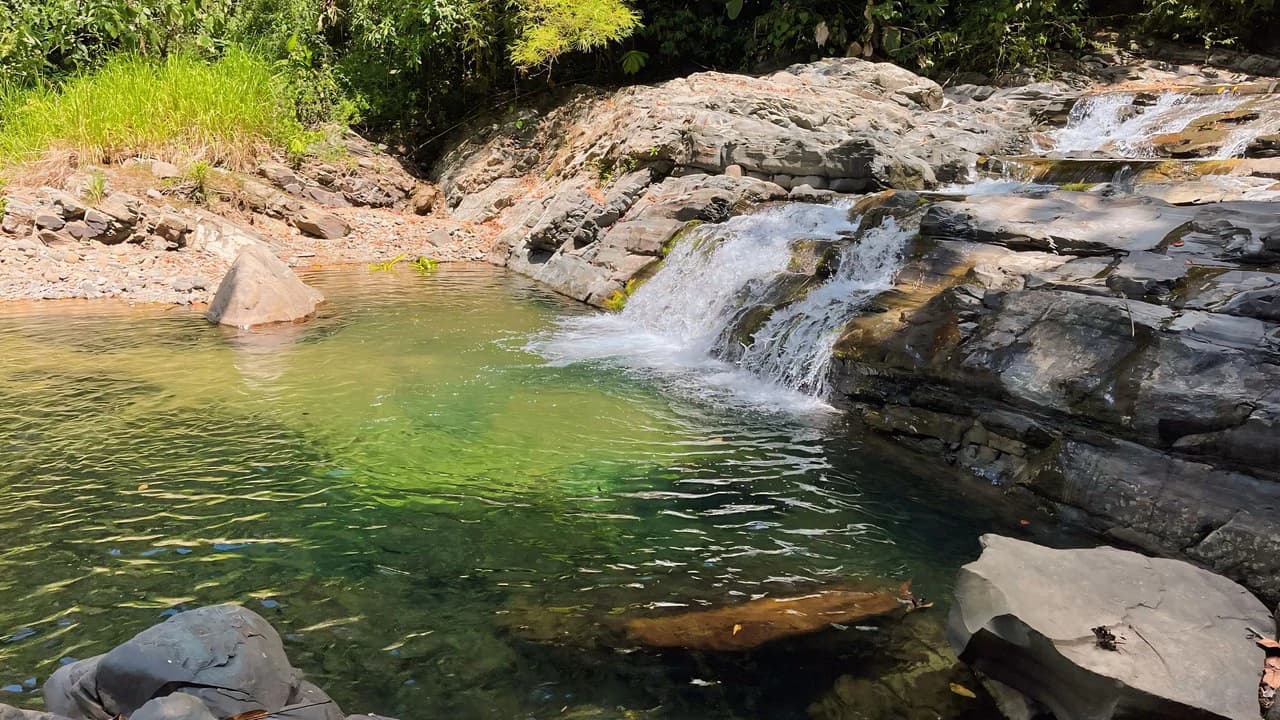 FINCA CERRO DEL TIGRE! OVER 20 ACRES OF PRIMARY FOREST AND WATERFALLS.: Mountain Agricultural Land For Sale in La Unión - photo 9