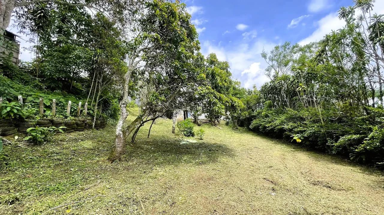 INVESTMENT: HOUSE & LARGE LOT IN SAN ISIDRO, SAN RAMON: House For Sale in San Ramón - photo 4