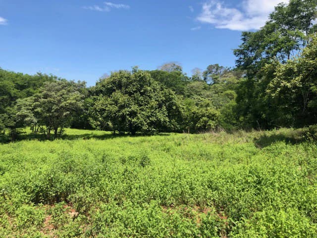 Amazing 50% discount for Huge ocean-view farm for sale surrounded by soft rolling hills and pristine nature - photo 23