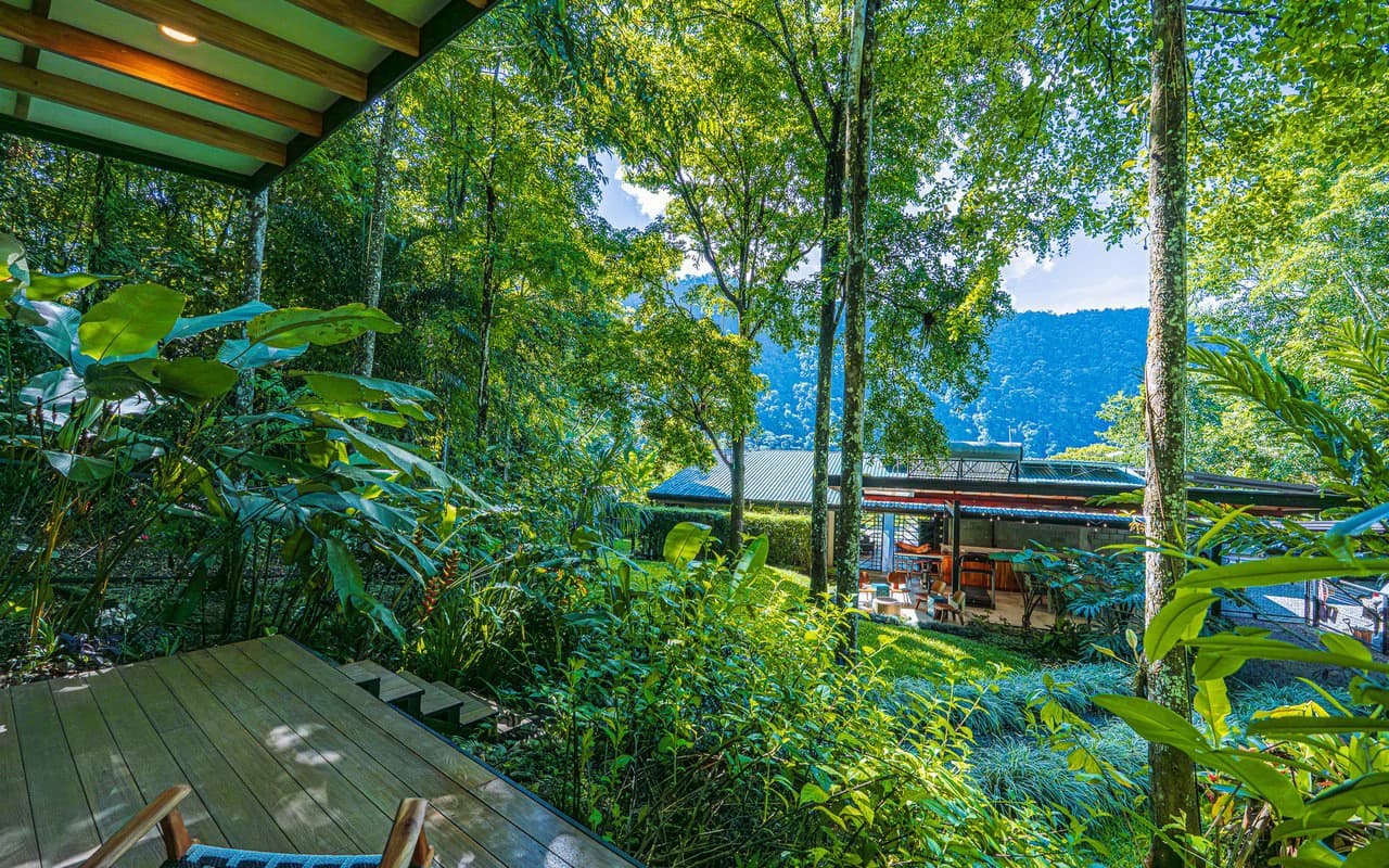 Off Grid Riverfront Micro Regenerative Organic Homestead Tinamastes - photo 48