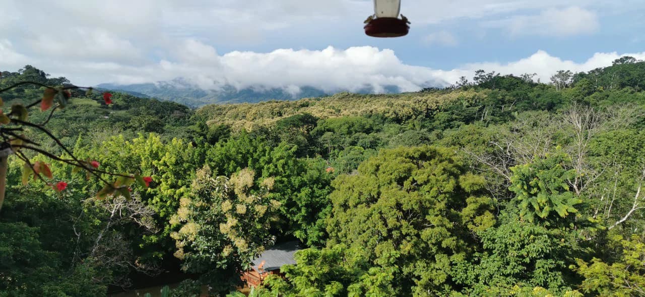 Agricultural Farm for Sale in the mountains of Hojancha, Beautiful 25-acre property with floating lake Apartment and Huge main home - photo 4