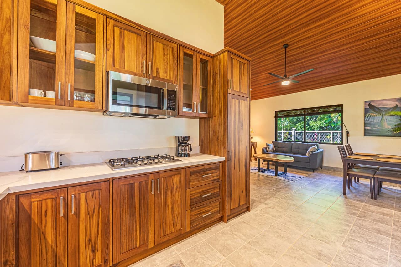Casa Tortuga: New Home Just 3 Minutes Walk From Playa Matapalo - photo 18