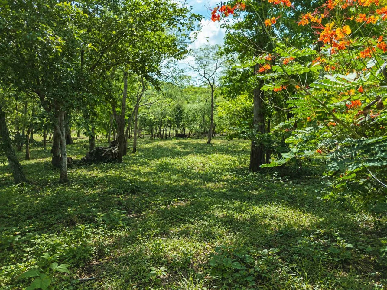 Cabo Vela Heights #4: Spacious Homesite Near Brasilito and Playa Flamingo - photo 15
