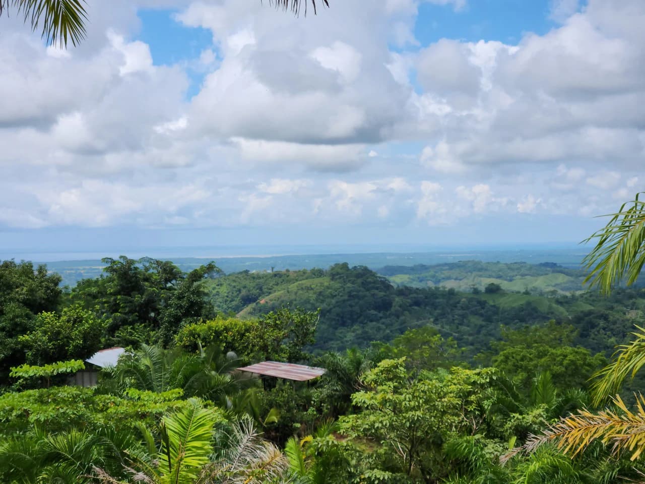 PRIME PARRITA FARM FOR SALE - photo 3