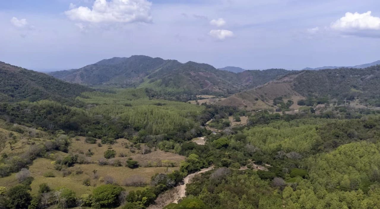 Farm for sale in Puntarenas Lepanto Costa Rica