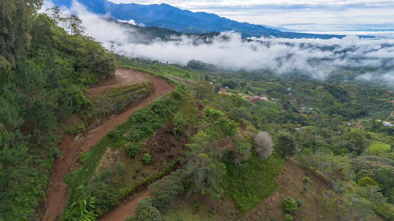 10.21 Acres with Views & Plantels – Pérez Zeledón - photo 18