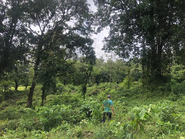 Hot and Cold Thermal Springs for Sale – Beautiful Property in Dos Ríos, Alajuela with Excellent Commercial Potential - photo 30