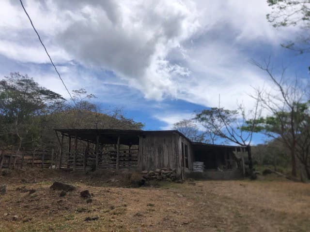 Costa Rica horse Farmland close to Monteverde - photo 7