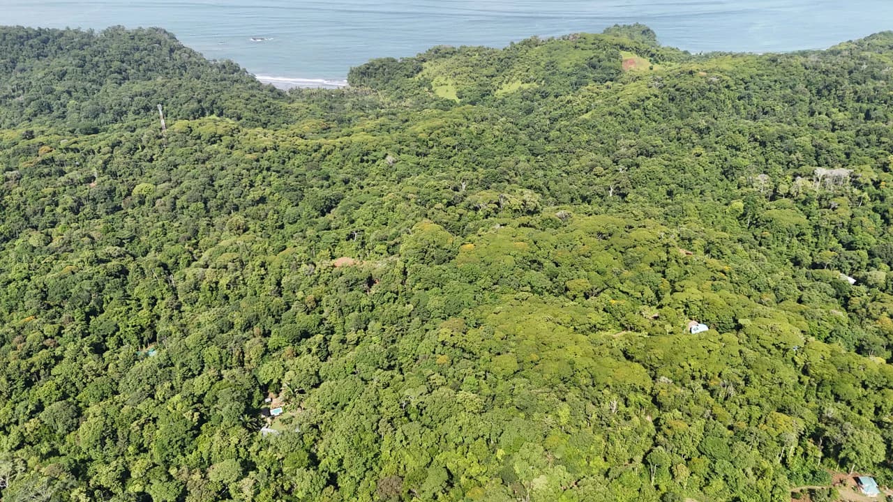Spectacular Ocean view on 7.7 acres: Mountain Home Construction Site For Sale in Bahía Ballena - photo 28