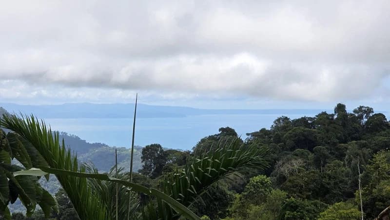 116-Hectare Finca for Sale Near Uvita with Whales Tail Views and 10 Waterfalls | La Faralla, Bahia Ballena, Uvita, Puntarenas, Costa Rica - photo 60