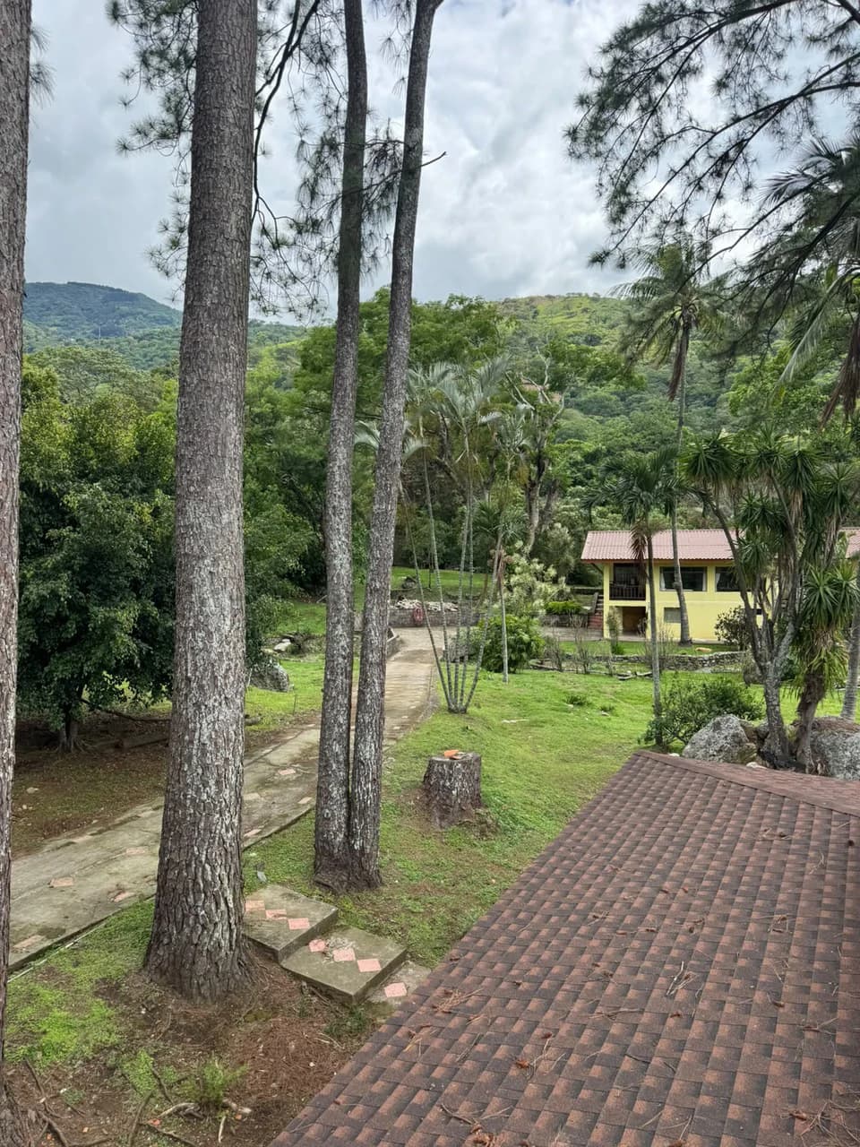 SANTA ANA GEM: LUXURY ESTATE COSTA RICA - photo 5